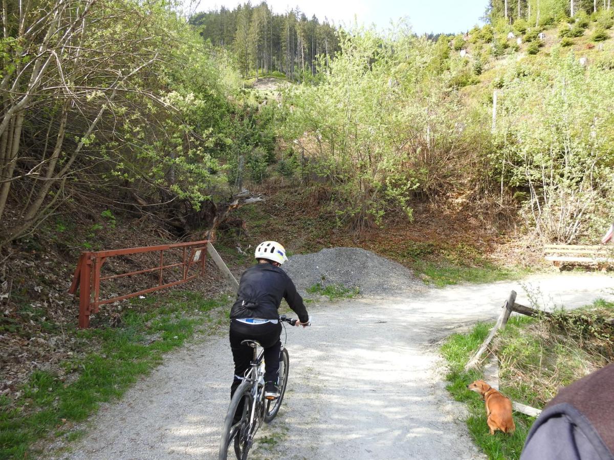 Pension Alpenrose Zell am See Luaran gambar