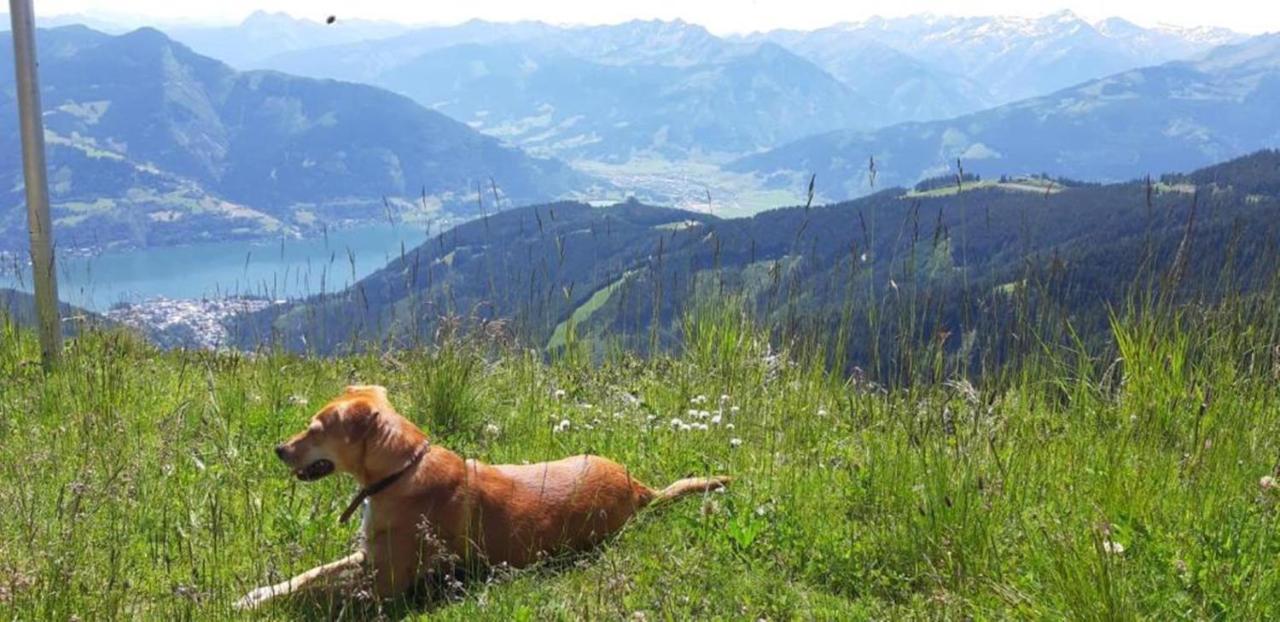 Pension Alpenrose Zell am See Luaran gambar