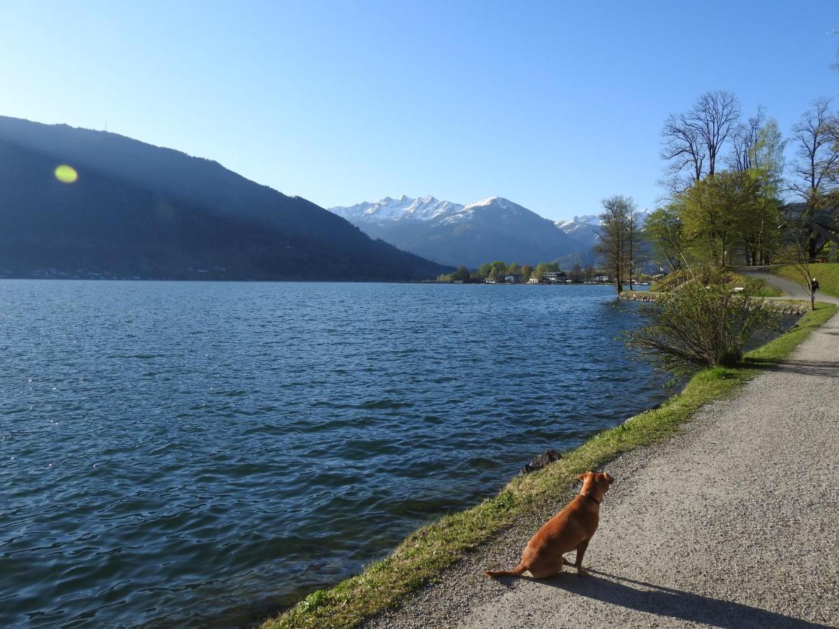 Pension Alpenrose Zell am See Luaran gambar
