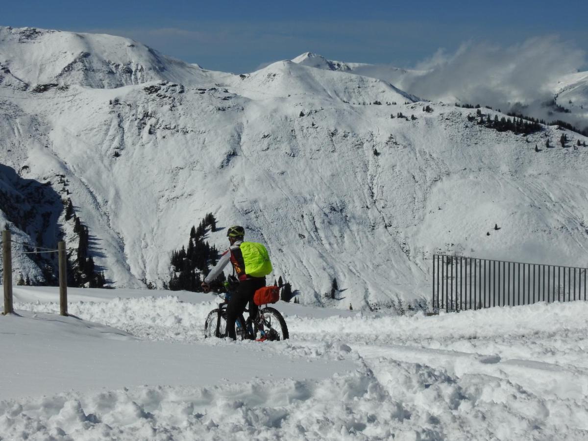 Pension Alpenrose Zell am See Luaran gambar