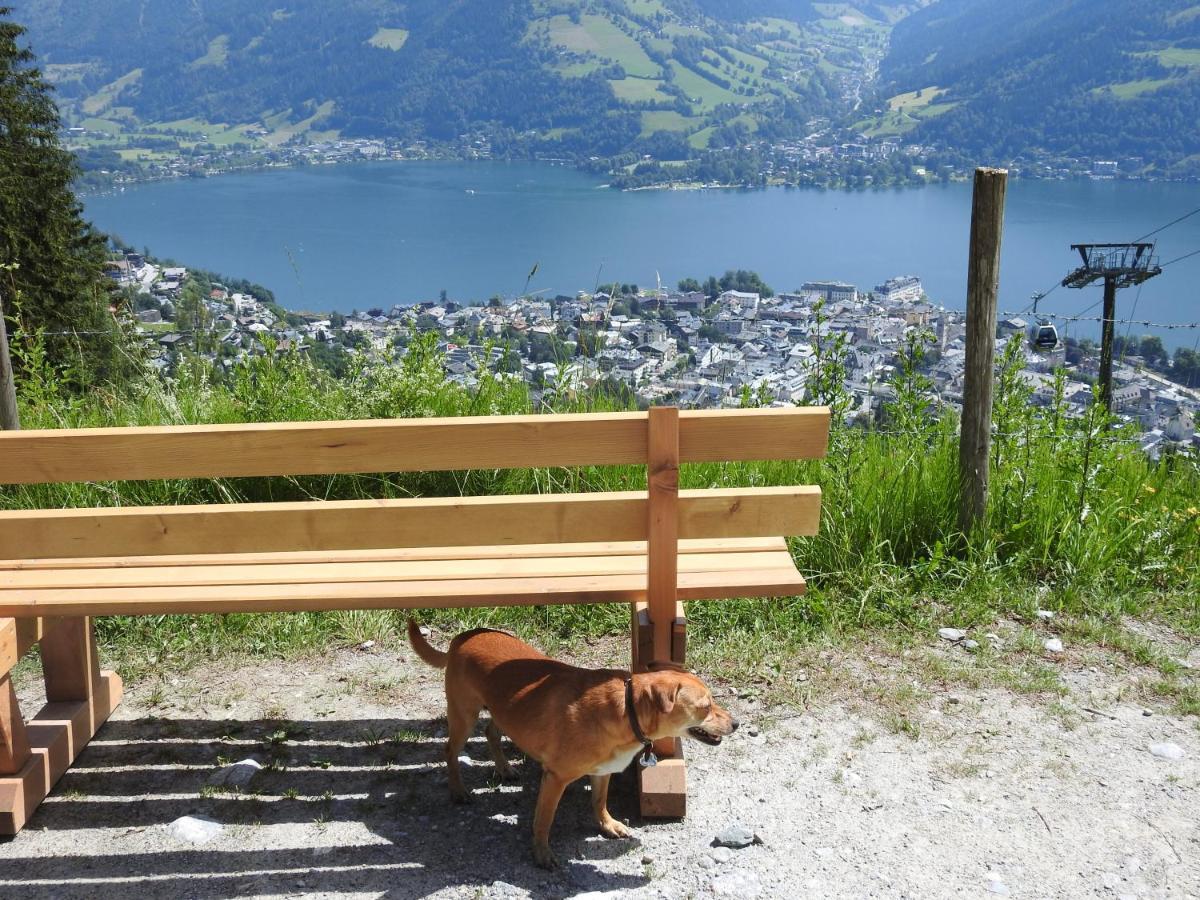 Pension Alpenrose Zell am See Luaran gambar