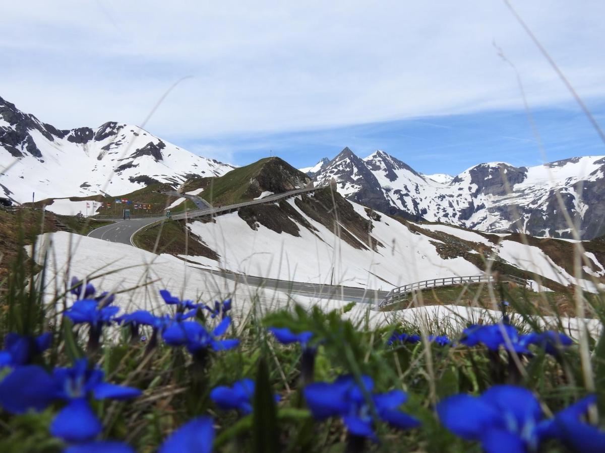 Pension Alpenrose Zell am See Luaran gambar