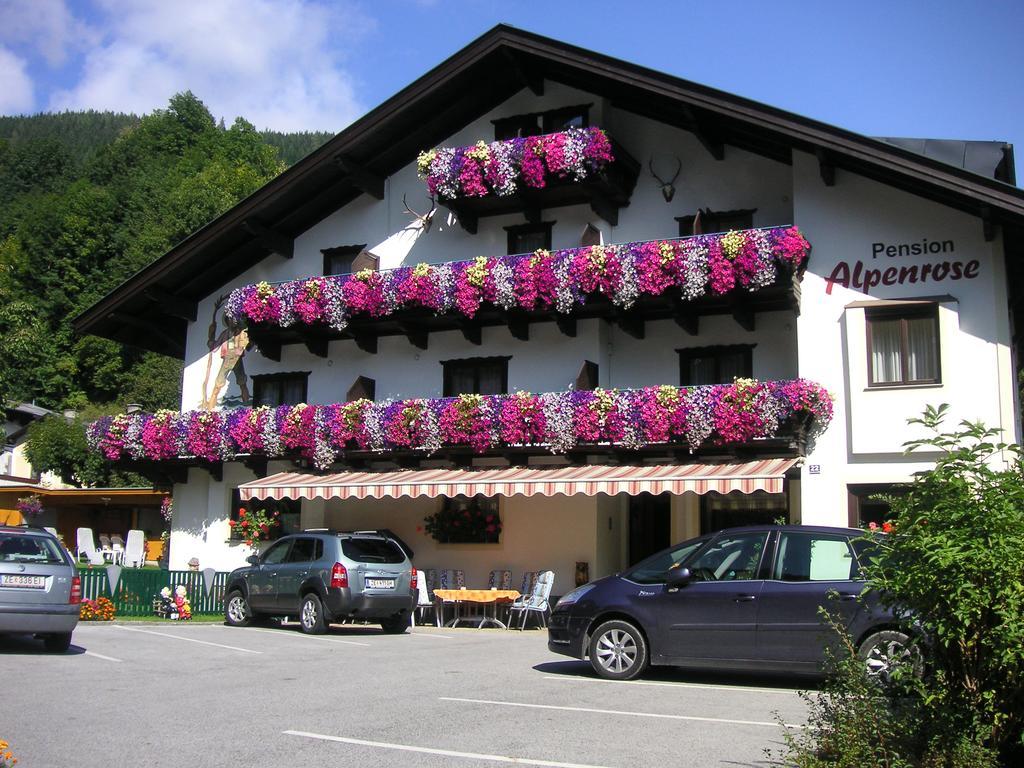 Pension Alpenrose Zell am See Luaran gambar