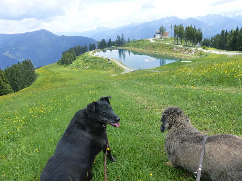 Pension Alpenrose Zell am See Luaran gambar